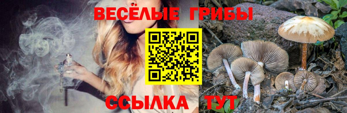 Галлюциногенные грибы Magic Shrooms  Псилоцибиновые грибы мицелий  Нарткала  Вход с VPN 